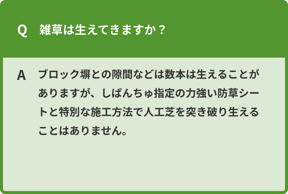 雑草は生えてきますか？